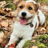 Popisek fotky - TEST